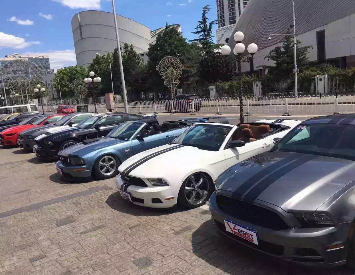 200809_100221_6030.jpg 26.jpg